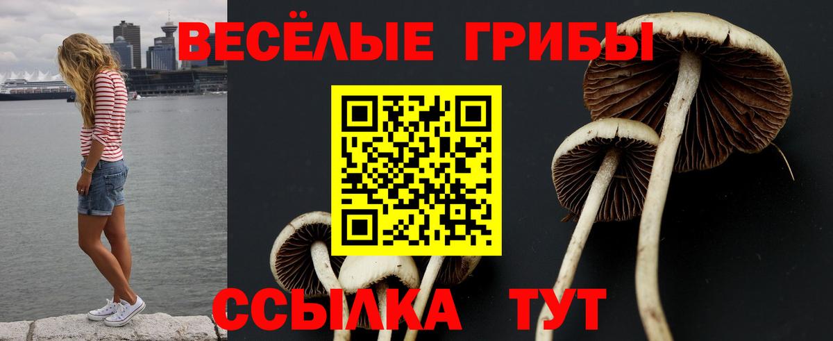 Псилоцибиновые грибы GOLDEN TEACHER Энгельс