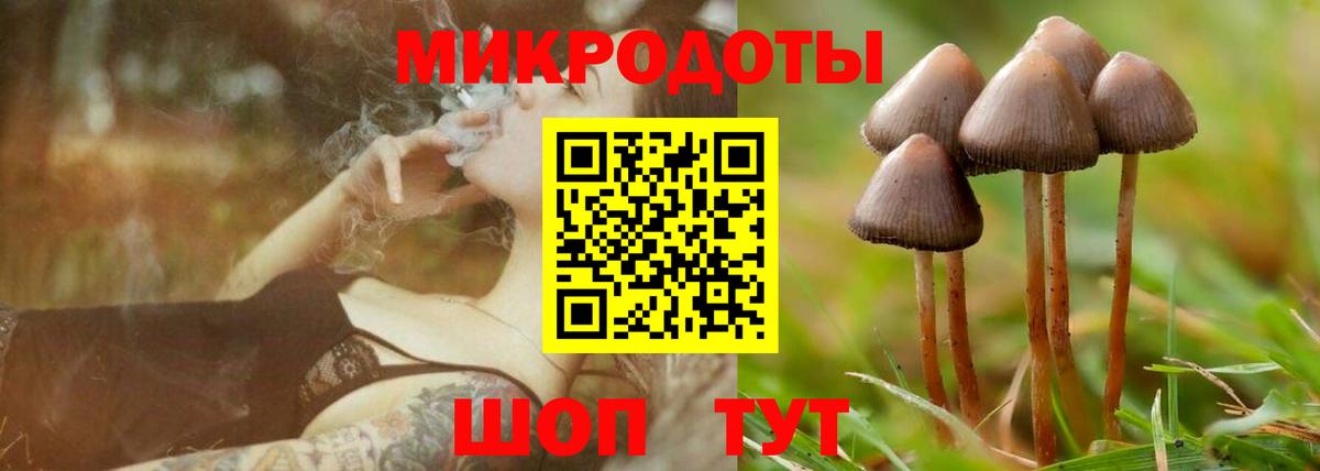 Энгельс  Галлюциногенные грибы Psilocybe  Вход с VPN  Псилоцибиновые грибы Psilocybine cubensis 